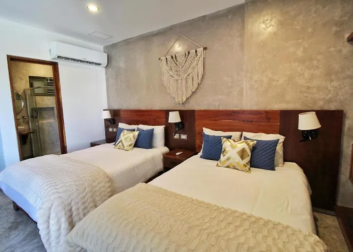 In Studio - Luxury Suites La Veleta Pensión